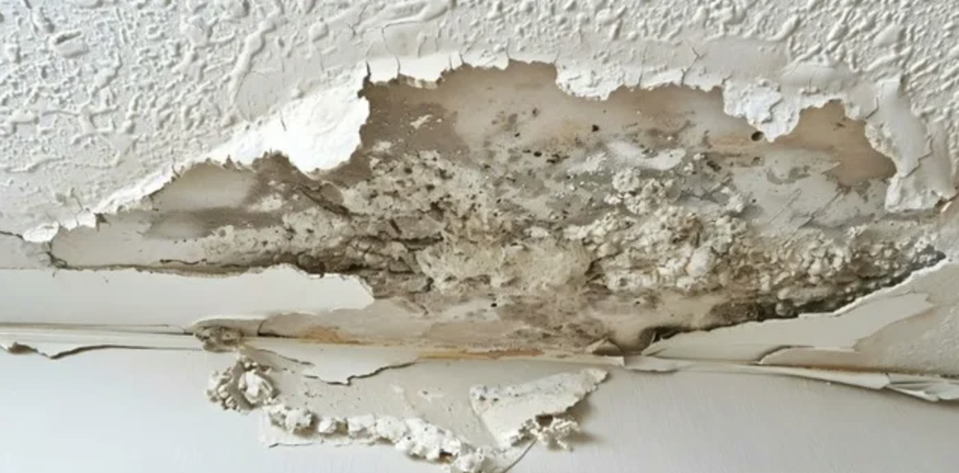 Ceiling opened after a leak, water-damaged board cut out before rebuilding