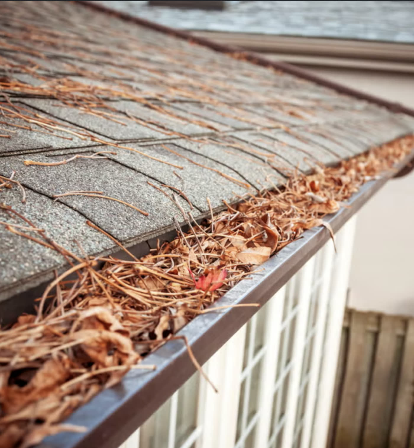 Gutter run cleared out by hand from the ladder