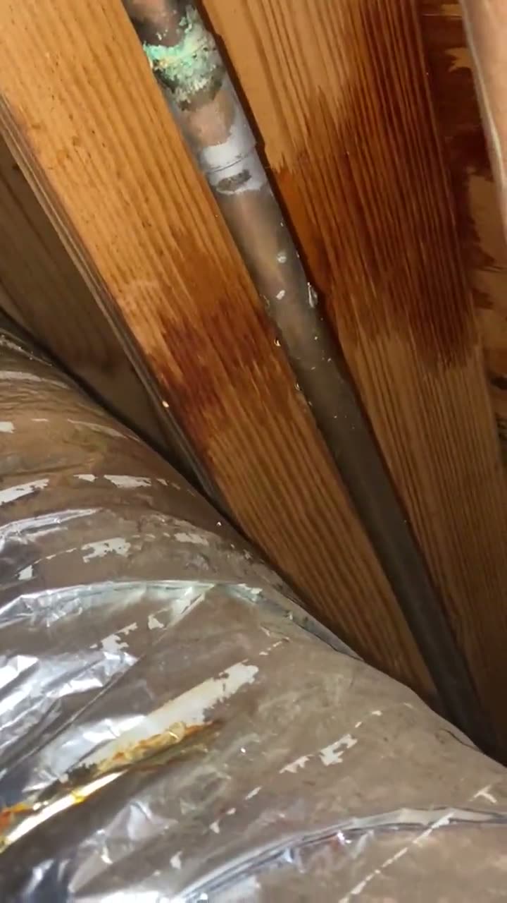 Real job: tracing and repairing a leaking water line in a crawlspace